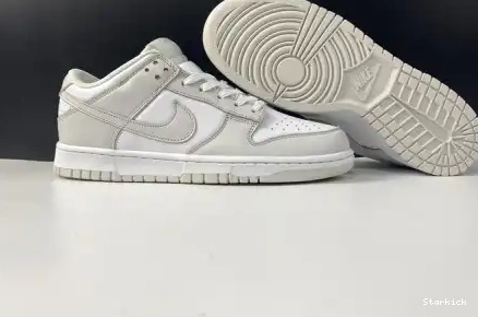 Dust" Dunk "Photon Nike Low DD1503-103 0622